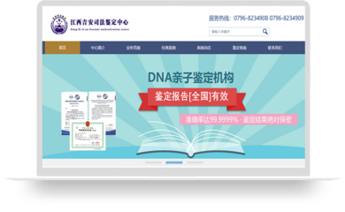 网站建设服务机构,专业网站建设机构