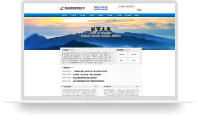 企业网站营销的优缺点及案例,企业网站营销的典型案例