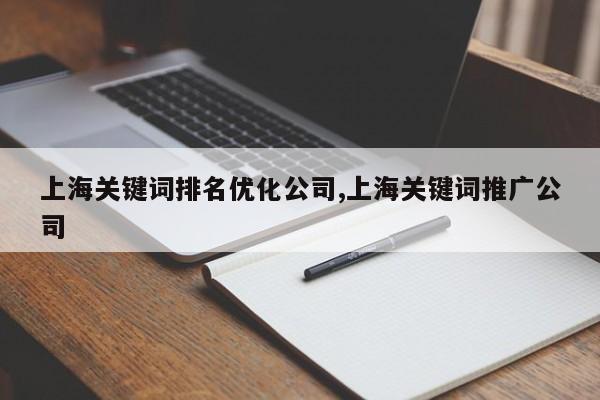 上海关键词排名优化公司,上海关键词推广公司