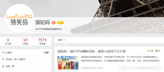 上海高玩seo,上海高端seo公司