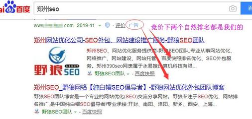 郑州seo技术顾问,郑州seo技术顾问阿亮怎么样