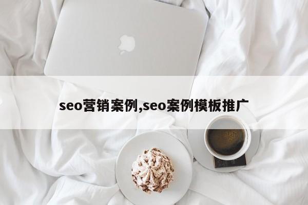 seo营销案例,seo案例模板推广