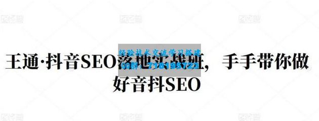 王通seo教程,王通的课程怎样