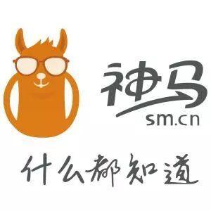 神马搜索的服务[神马搜索会遇到的问题]