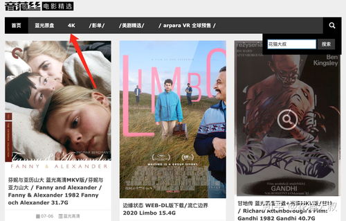 如何寻找抖音上的热门视频