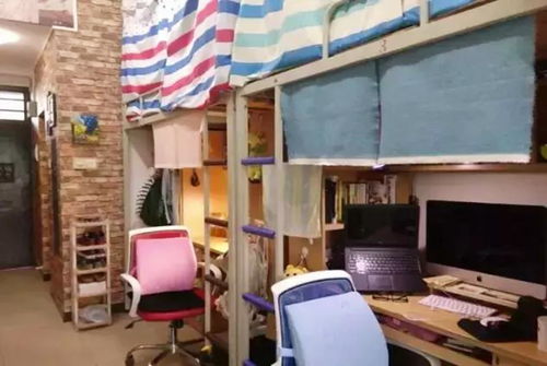 宿舍作品如何上热门
