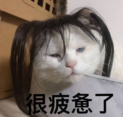 我要上热门这个造型如何