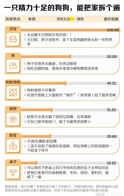 负债80后如何快速上热门