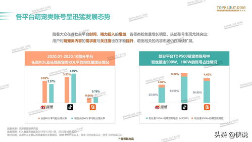 企业如何上热门涨粉