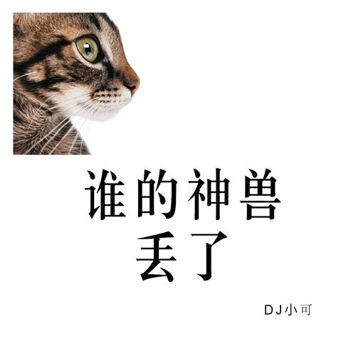 抖音励志语录如何上热门