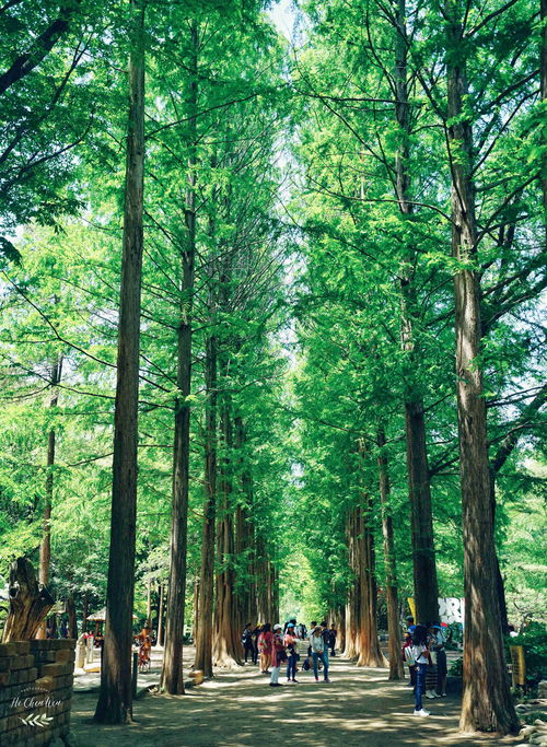 风景类视频如何上热门呢