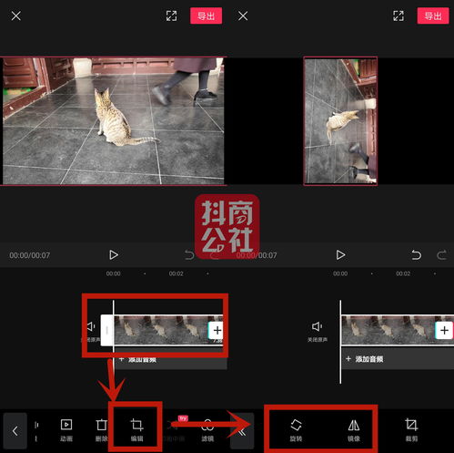 抖音如何反复上热门-抖音怎么天天上热门