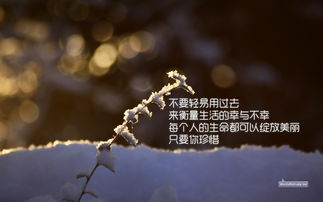 发人生感悟视频如何上热门-感悟人生视频段子怎么制作