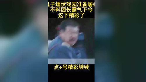 我的影观报告如何上热门,我的观影报告百度百科