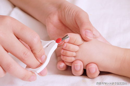 穿戴甲如何上热门,穿戴甲如何带比较自然