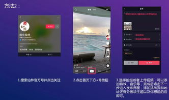 抖音如何上热门点击率高,抖音上热门技巧怎么上热门