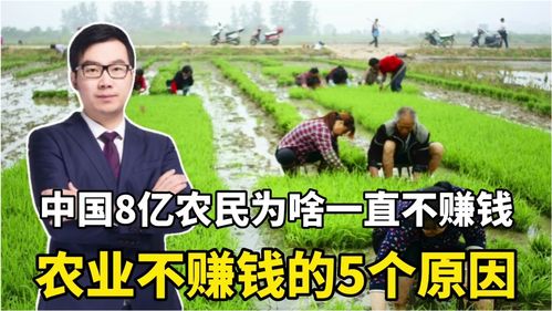 农民如何上热门挣钱呢图片,农民如何上热门挣钱呢图片大全
