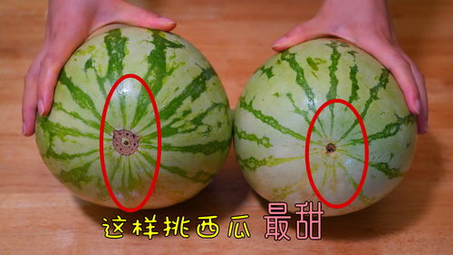 西瓜短视频拍摄教学,西瓜视频是怎么拍视频的?