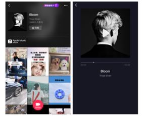 抖音如何添加音乐上热门,抖音音乐类视频怎么上热门