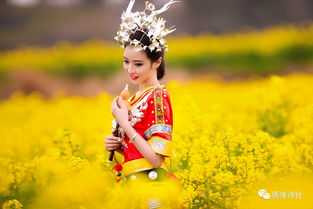赏花短视频教学拍摄方法的简单介绍