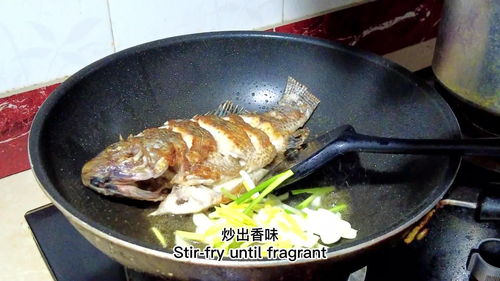 短视频拍摄做菜教学,做菜视频教学app哪个好
