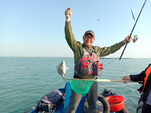 海钓小技巧直播,直播海钓的小说