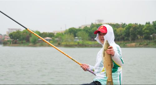 户外pk直播技巧,株洲户外pk直播基地