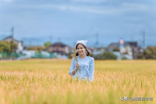 从事农业短视频拍摄教学,拍摄农业宣传短视频的主题有