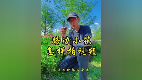 动态短视频拍摄教学,动态视频制作教程