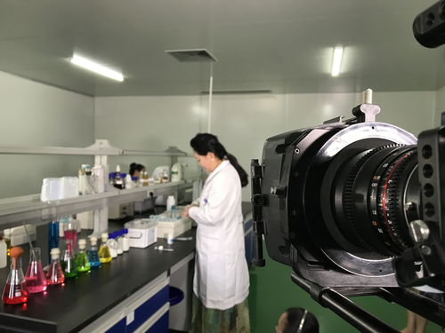 短视频拍摄教学场景分析,短视频拍摄场景租赁