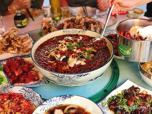 美食教程如何上热门,美食教程视频