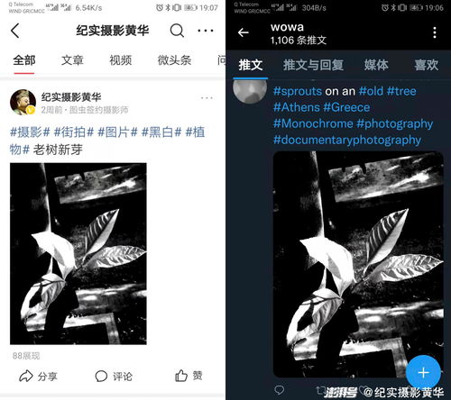 如何看出作品上热门了没,如何知道作品上热门没有