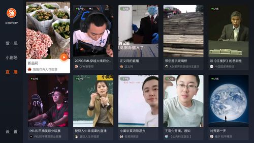 包含西瓜视频直播新手入门技巧的词条