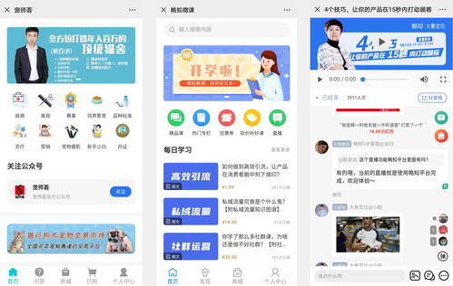 河南十一选五技巧视频直播,河南11选五