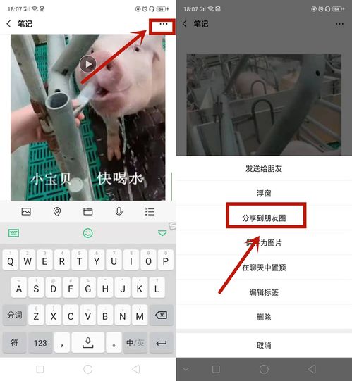 朋友圈短视频拍摄教学文案,短视频 朋友圈
