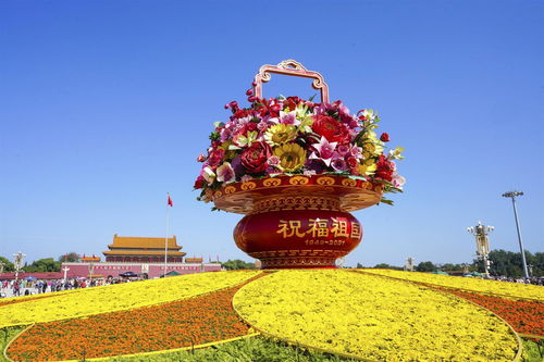 花篮捕鱼技巧直播,花篮捕鱼放在什么地方