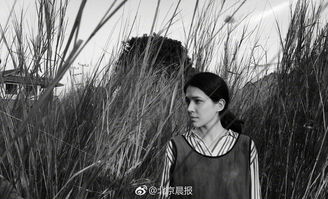 短视频特写拍摄教学,特写拍摄技巧