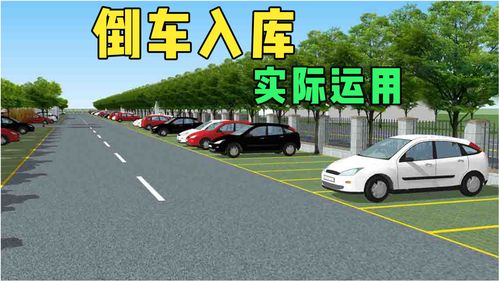 新手倒车入库技巧直播回放,新手上路倒车入库视频讲解与技巧视频