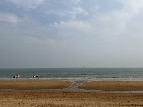 兴城赶海直播技巧,兴城海边赶海去哪