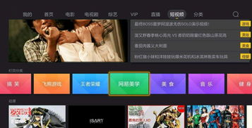 网易如何上热门视频教学,网易怎么上传视频