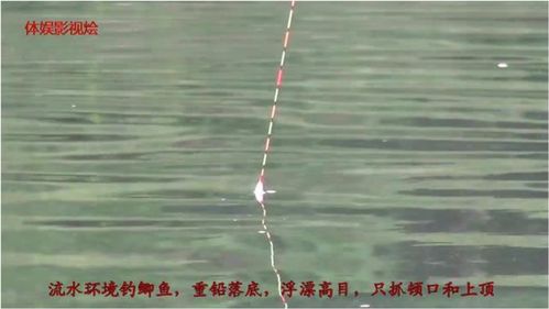 流水钓鱼技巧直播,流水 钓鱼