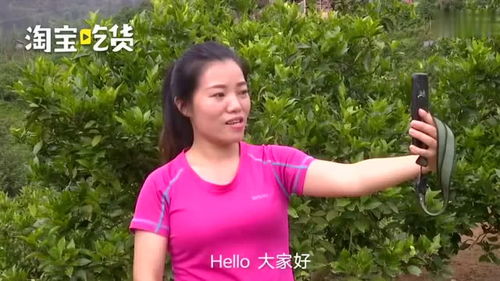 家乡特产直播技巧,为家乡特产直播带货150字