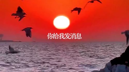 情感语录如何上热门,情感语录怎么说