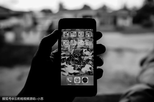 送房子技巧视频直播,送房是怎么送的?