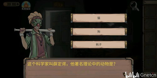 酒店直播玩法技巧,酒店内部直播