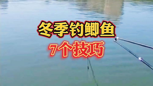 冬季野钓技巧直播,冬季野钓鲫鱼直播