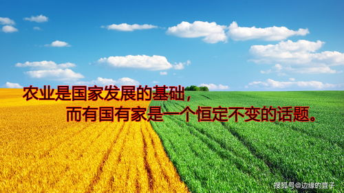 三农类如何上热门,三农怎么干