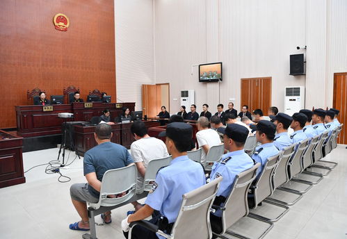 庭审直播技巧,庭审直播技巧有哪些