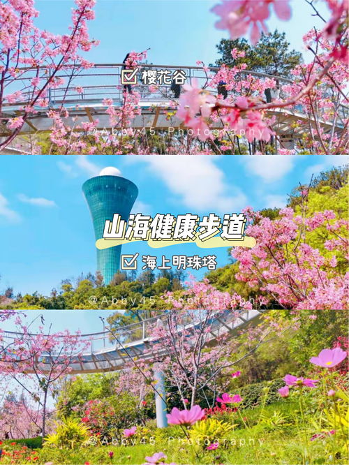 直播厦门景点技巧,看厦门直播