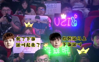RNG语音直播技巧,rng队内语音在哪里看